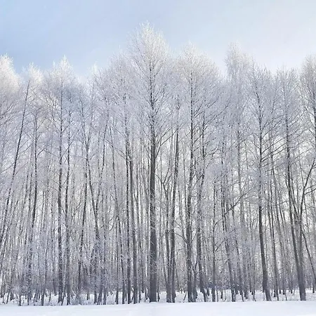 Lary Homes - Dabrowka