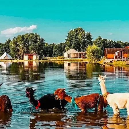 Lary Homes - Dabrowka * Gostynin