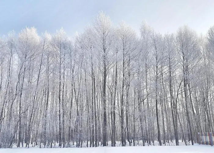 Lary Homes - Dabrowka