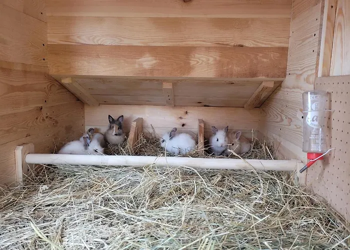 Lary Homes - Dabrowka Lodge