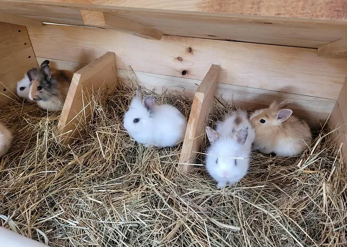 Lary Homes - Dabrowka Lodge *