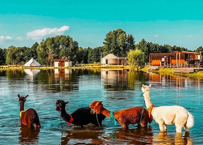 Lary Homes - Dabrowka * Gostynin